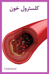 کلسترول خون و معجزه آب یونیزه قلیایی