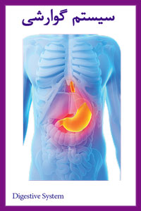 بیماری گوارشی و معجزه آب یونیزه قلیایی