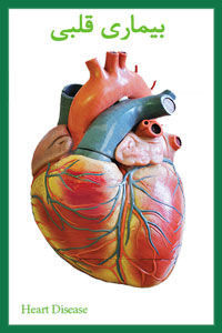 بیماری قلبی و معجزه آب یونیزه قلیایی