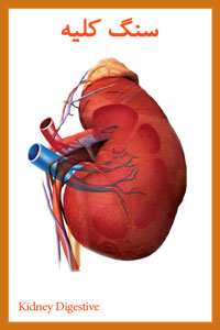 سنگ کلیه و معجزه آب یونیزه قلیایی