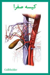 کیسه صفرا و معجزه آب یونیزه قلیایی